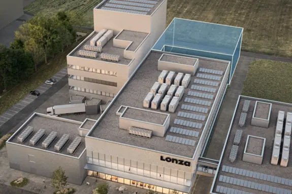 stein-dolphin-expansion-rendering