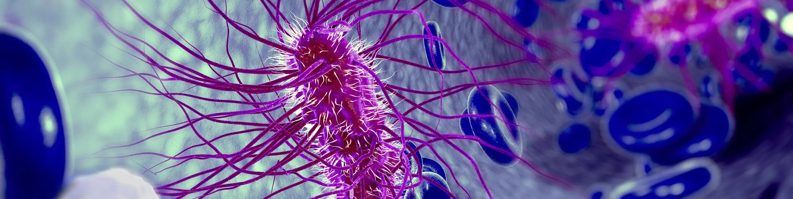 Ecoli-Blue-DSoriginal38005