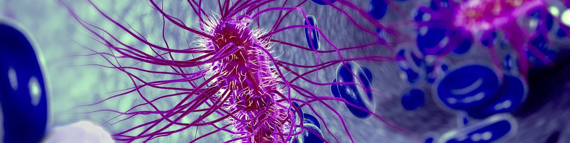 Ecoli-Blue-DSoriginal38005