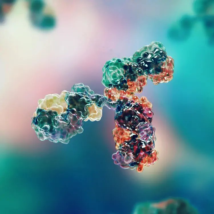 Fighting Virus with Enhanced Antibody-Dependent Cellular Cytoxicity