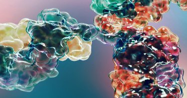 POTELLIGENT® CHOK1SV®技术