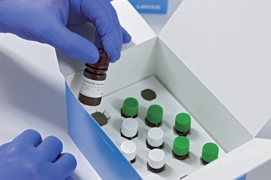 干货！细胞培养避免支原体污染十大技巧