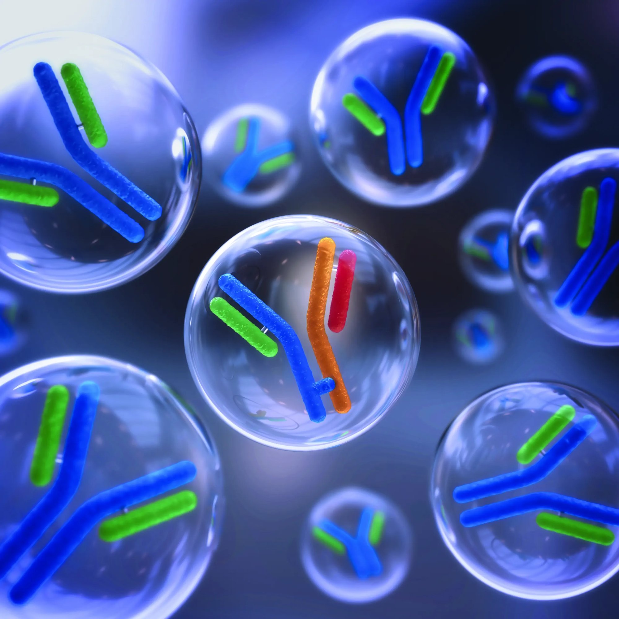 bYlok_GettyImages-1025362538_adjusted_cmyk