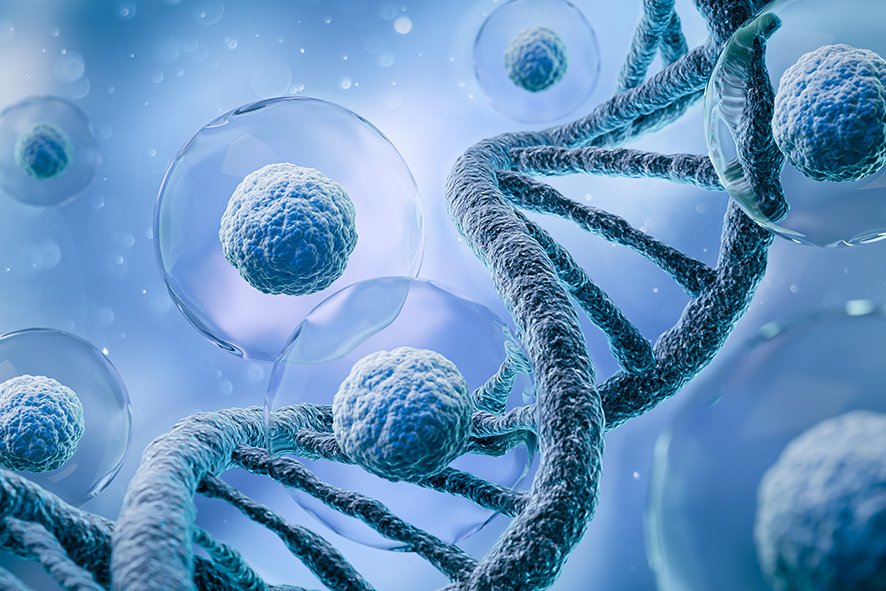 影响基因表达的重要因素-质粒DNA