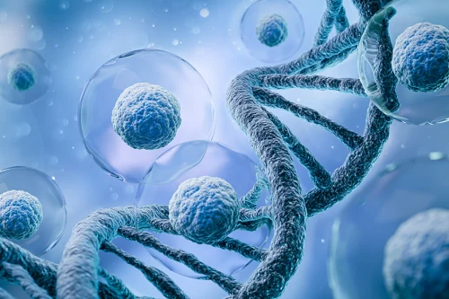 影响基因表达的重要因素-质粒DNA