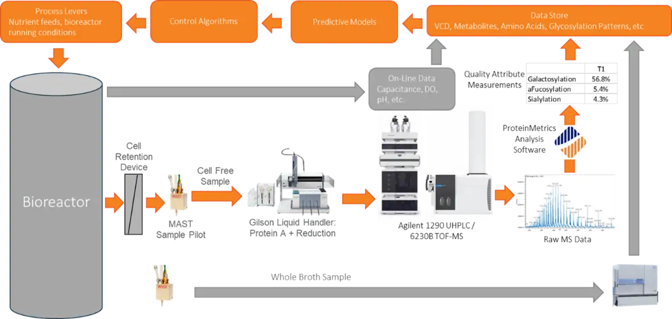 bioreactor diagram