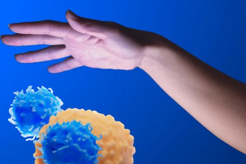 Immunogenicity / Immunotoxicity Assessment