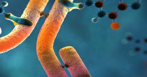 GS piggyBac®转座子技术