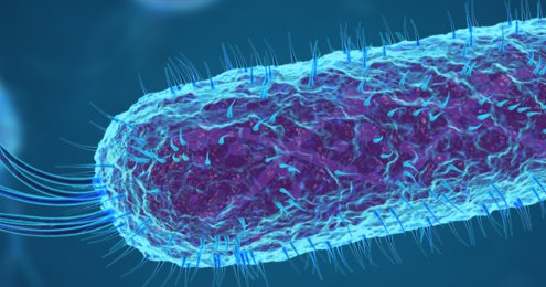 微生物发酵服务 