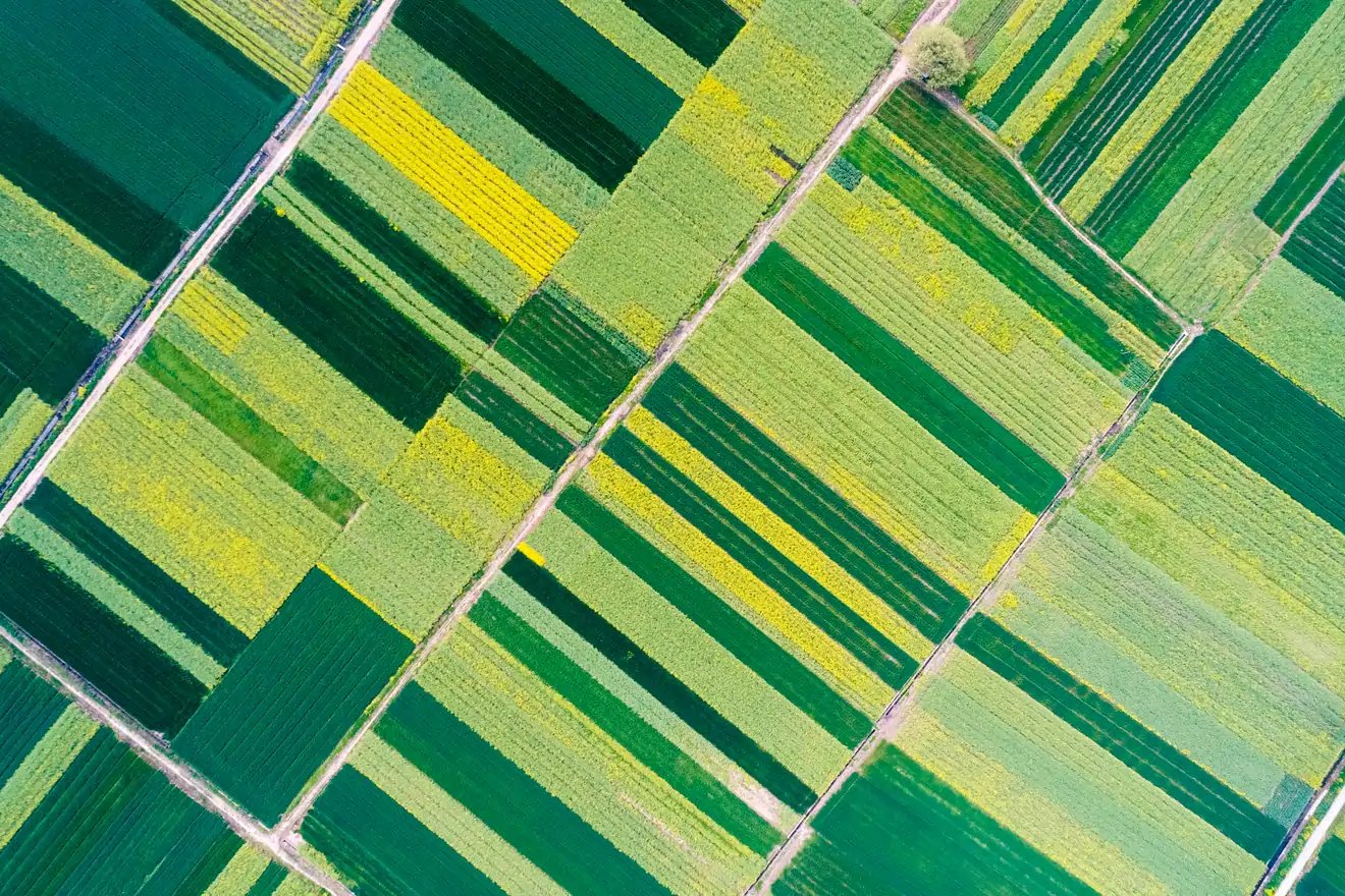  Farmland in spring, China.