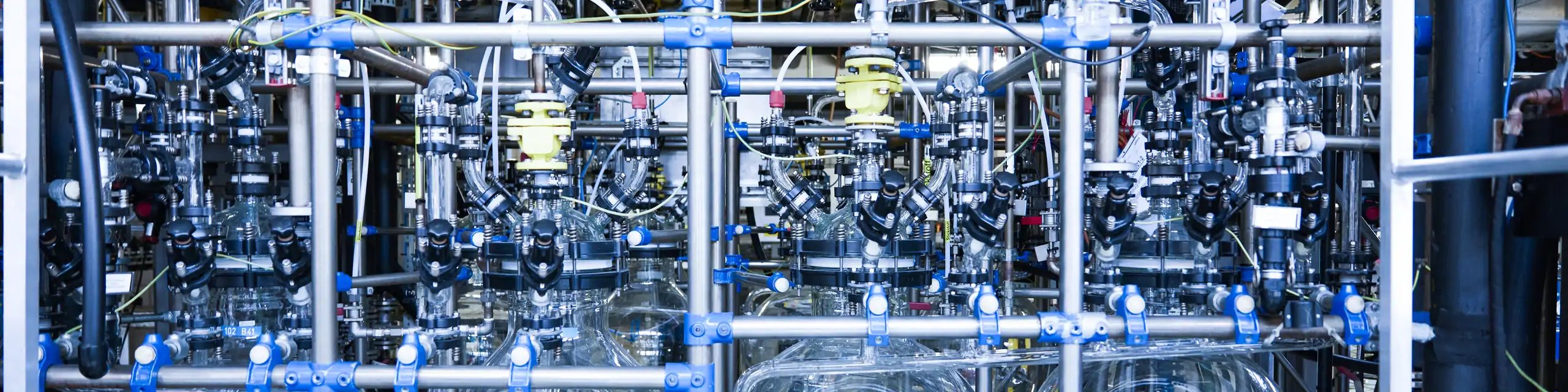 6M8A3435_rgb_retouched