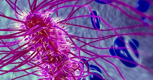 热原和内毒素检测