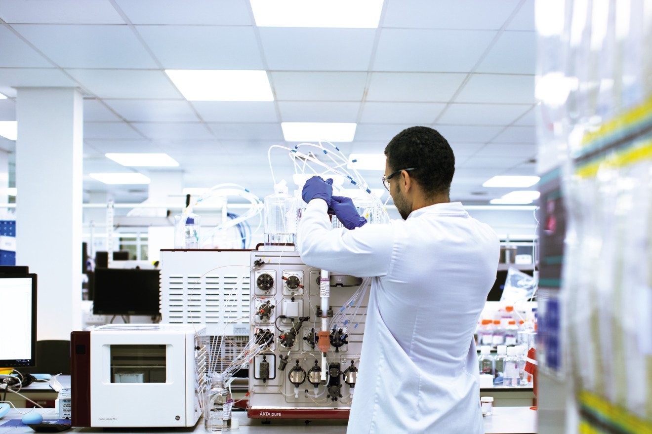 Cell Iine process development