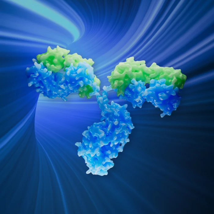 mAbs DNA to IND