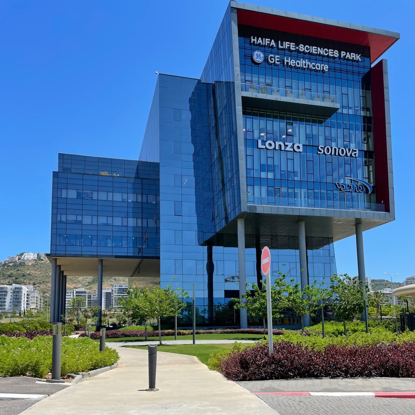 Lonza by Marian Nicola