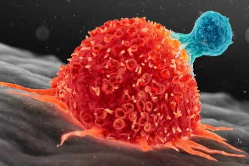 Defining the Next Generation of Immune-oncology Cell Therapy
