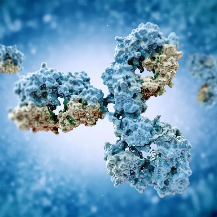 CLD_1300-1300_antibody_blue-gray