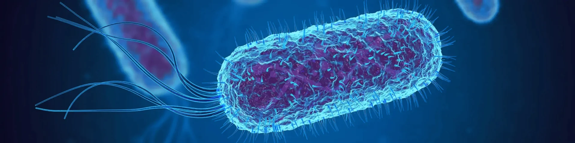 E.coli+blue