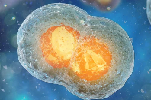 GS Discovery® Transient Expression