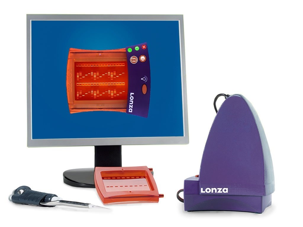 在基因编辑工作流程中使用 FlashGel Cassettes 进行分离