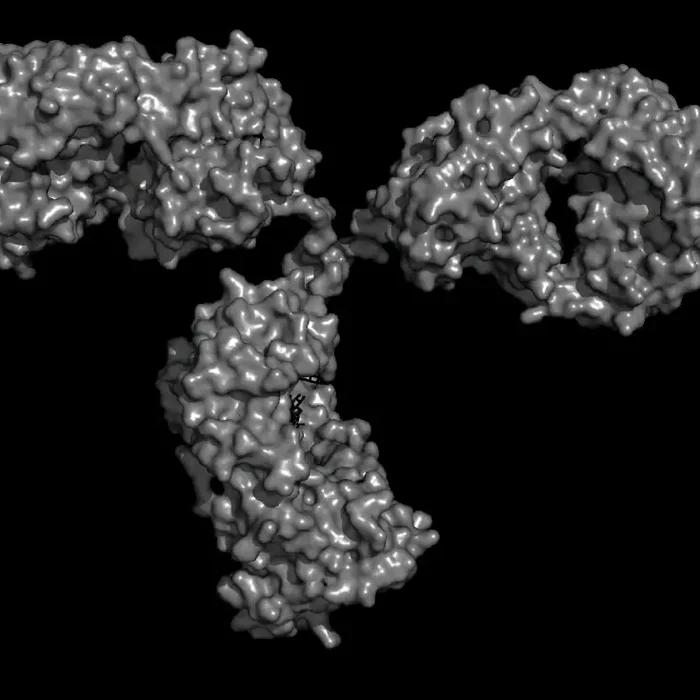BIO-EDRO-L2-L4-Protein ANRD - surface