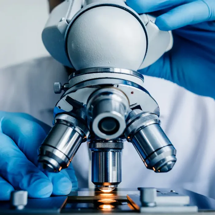 BioAssays_Microscope_1320-880