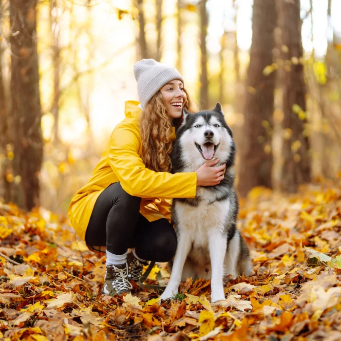 shutterstock_2375306097