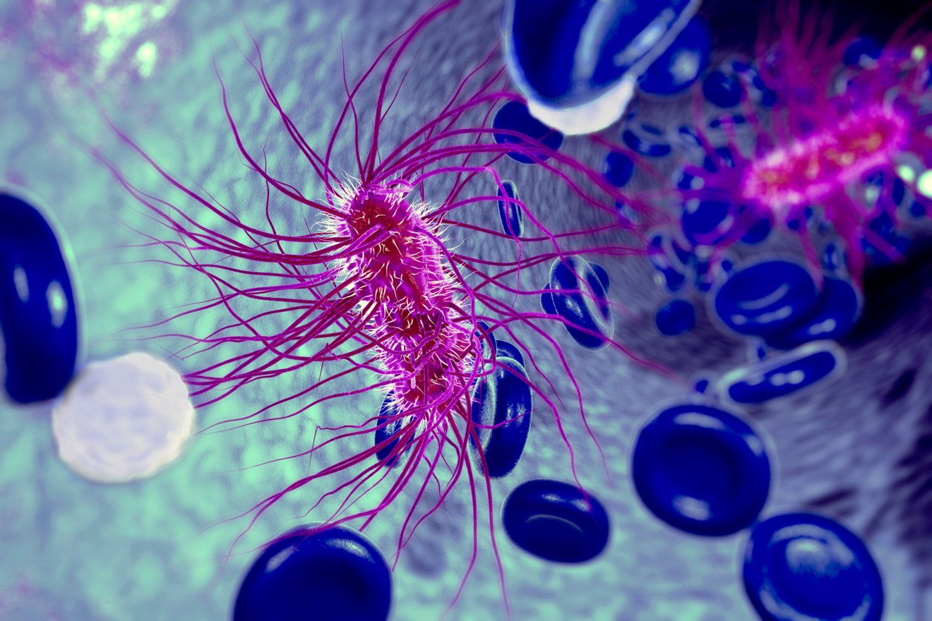 生物制品热原检测