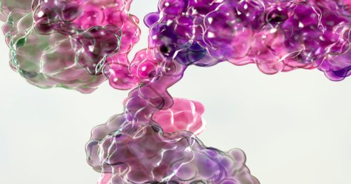 抗体人源化和去免疫化