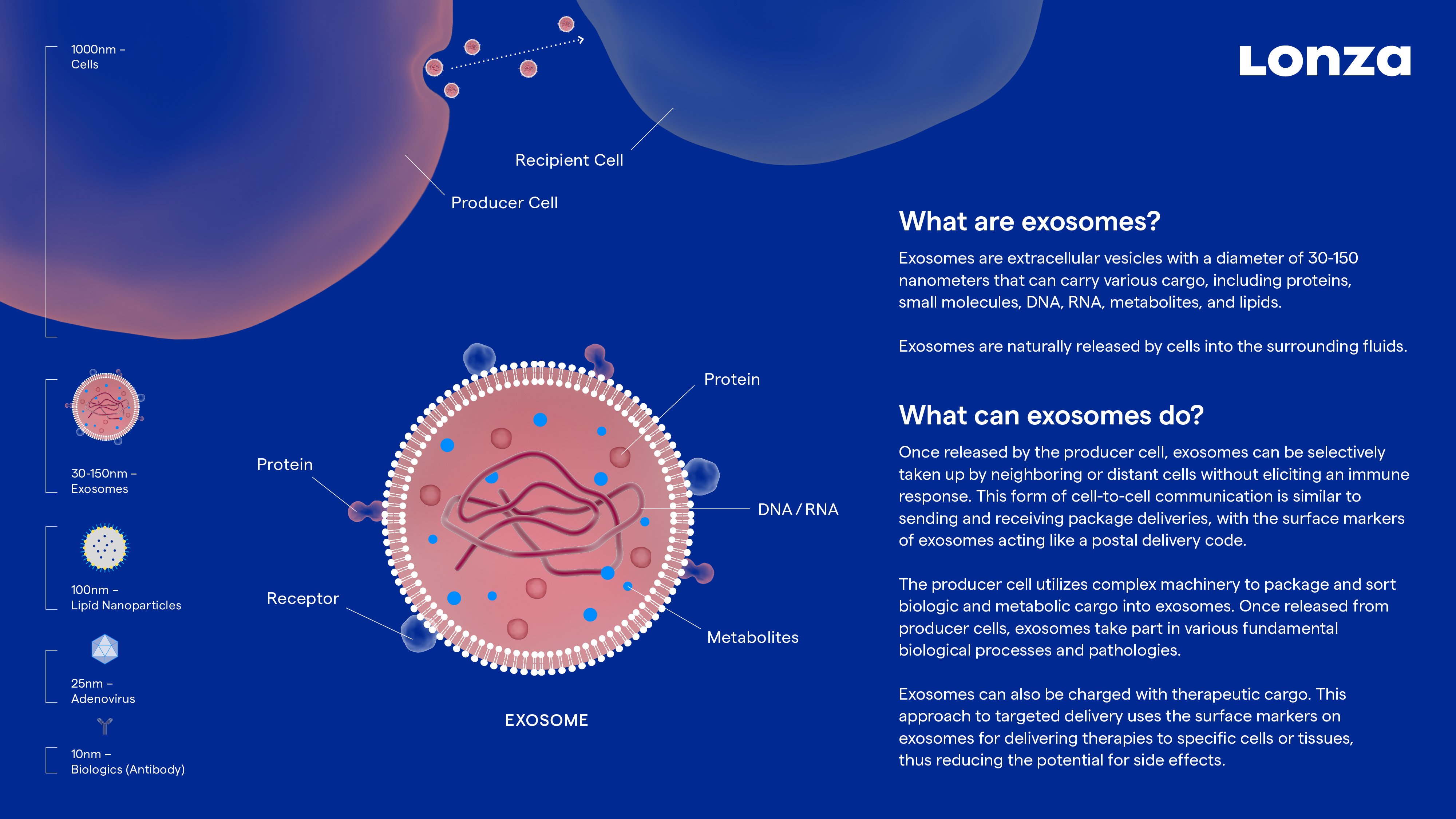 Exosomes Characterization & Manufacturing (CDMO) | Lonza