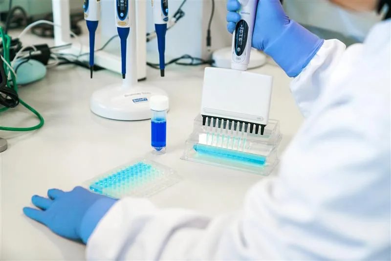 Tools for Developing Successful Biologics CHOK1SV GS-KO® Cell Line