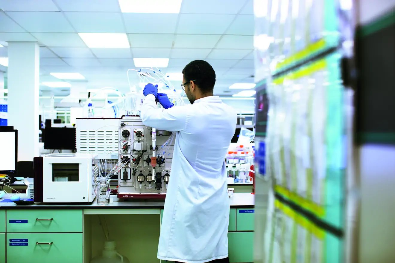 Cell Iine process development