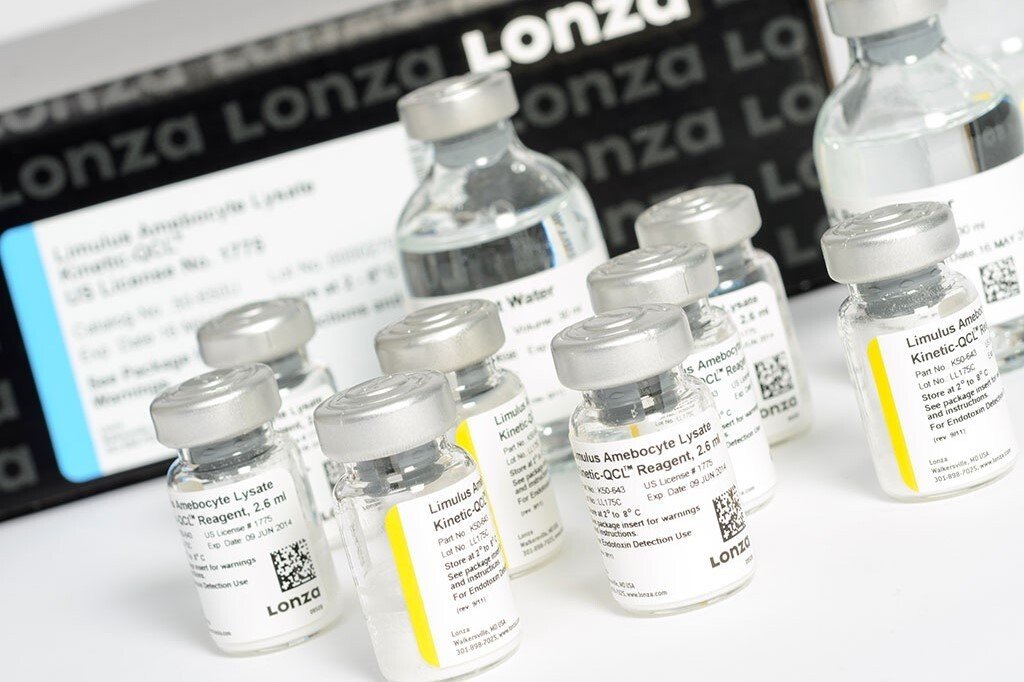 如何去除内毒素干扰？