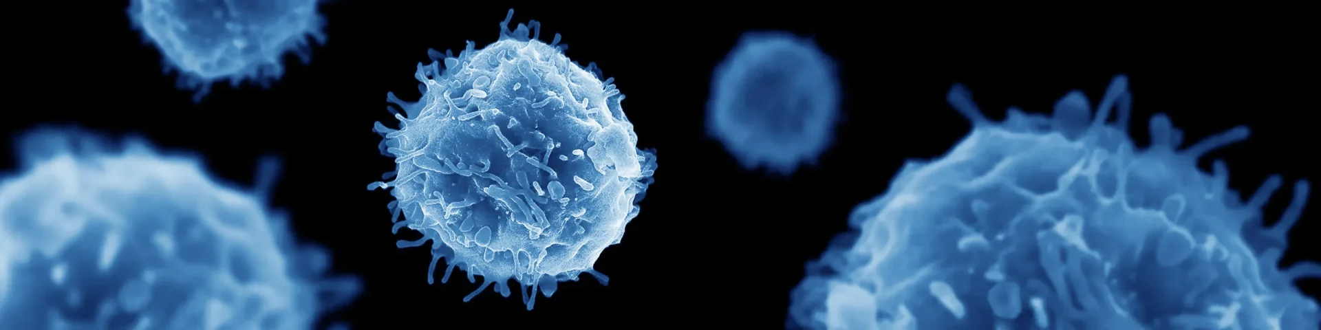 cgt_stem-cell_header_2560-640_original-color