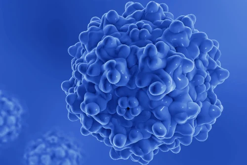 AAV Manufacturing with our 3D Transient Transfection Suspension Platform