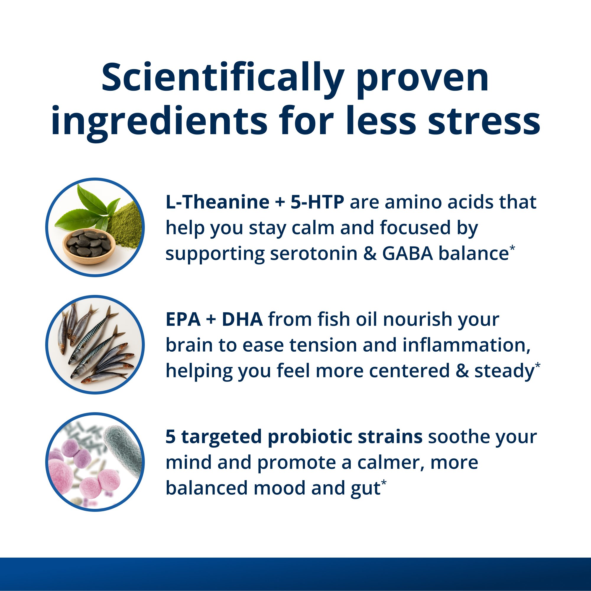 Calm Mood & Stress Resilience for Women by Dr. Melissa Blake, ND 5