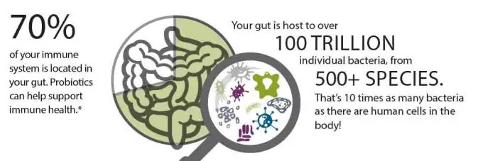Infographic explaining the connection between gut health and the immune system