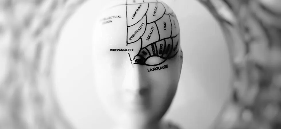 Beneficial Effects of Phosphatidylserine on Cognitive Function