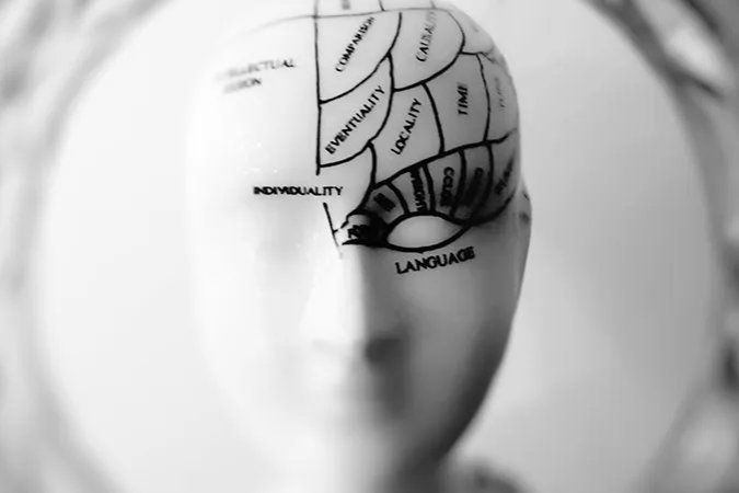 Beneficial Effects of Phosphatidylserine on Cognitive Function