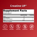 Creatine UP® 6