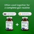 CandiBactin-AR® 7