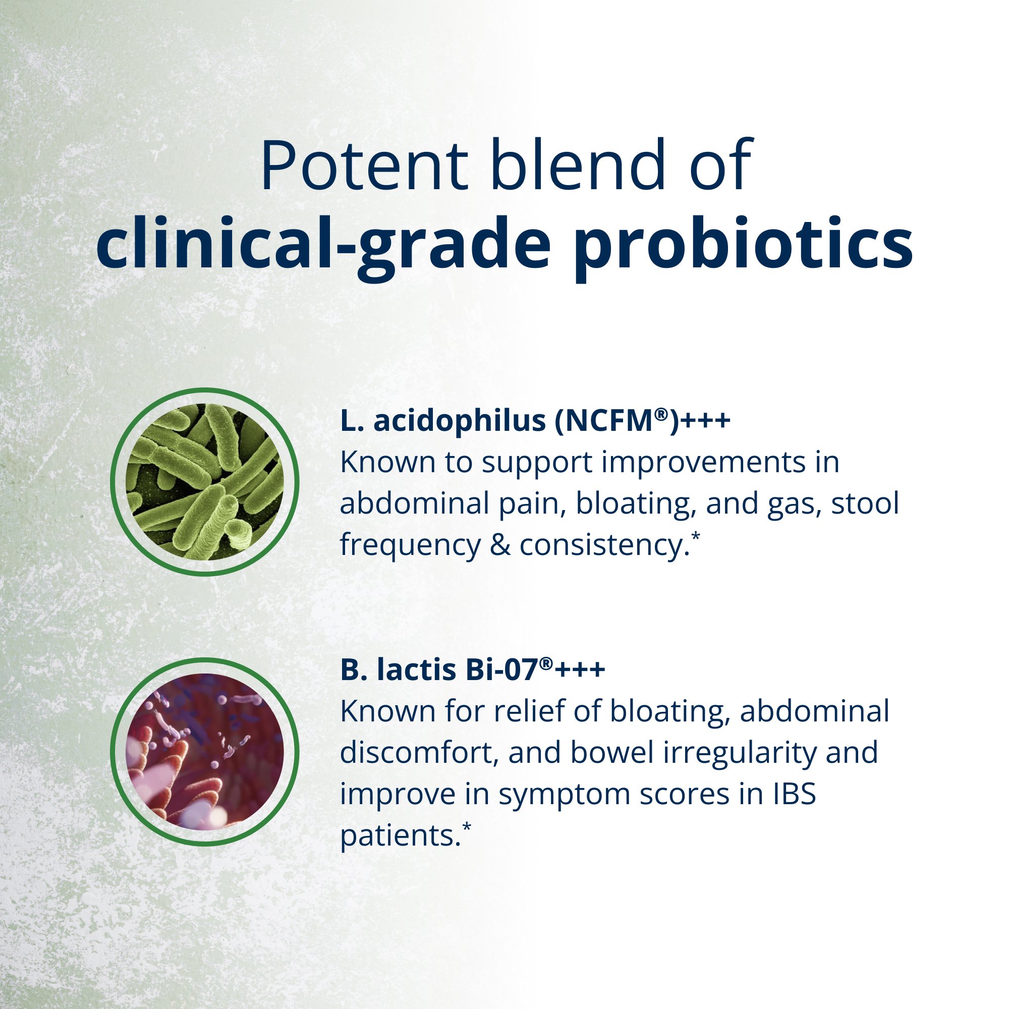 UltraFlora® IB Probiotic 5
