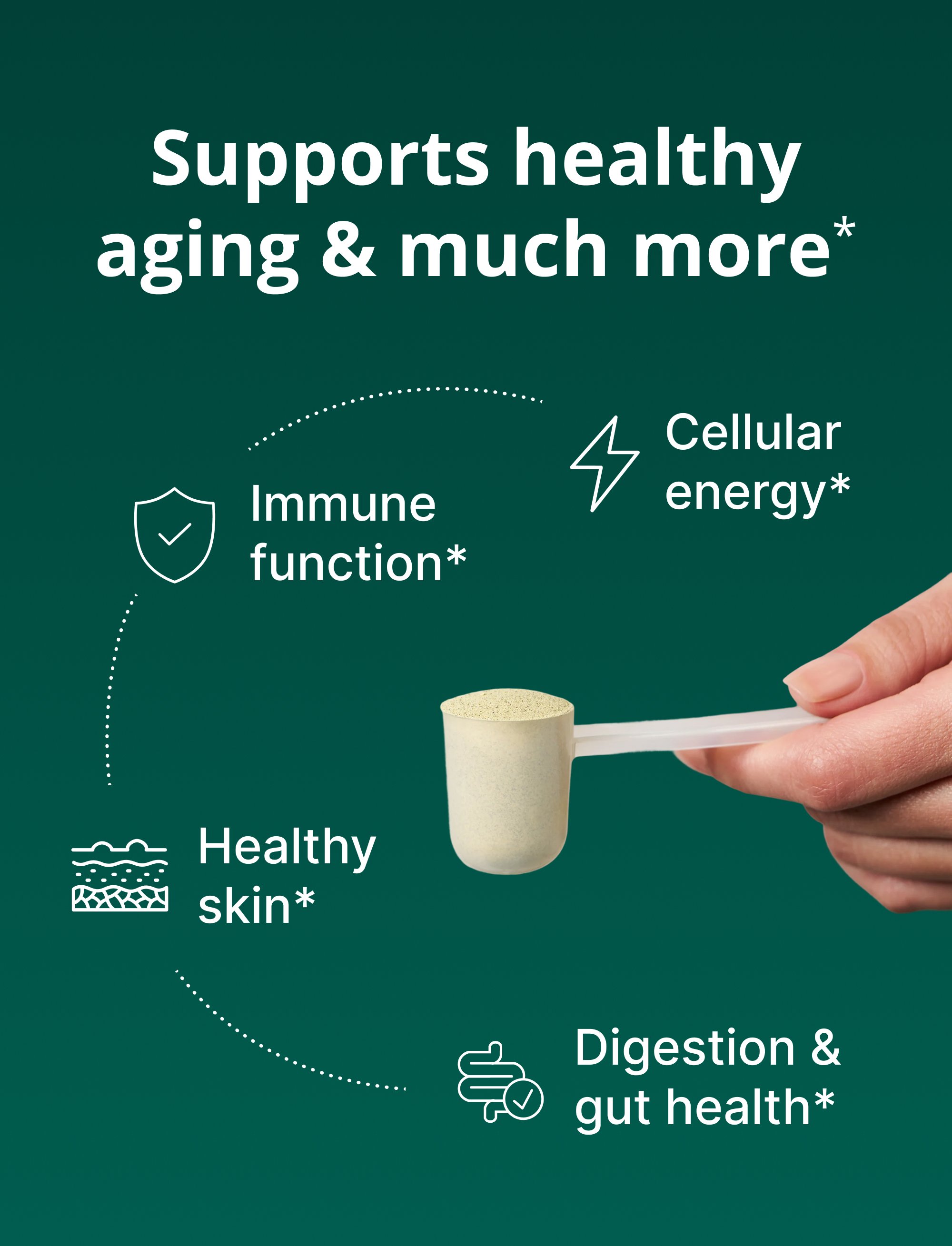 Hand holding a scoop of green powder with icons representing benefits including immune function, cellular energy, healthy skin, and digestion and gut health
