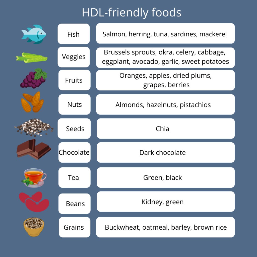 HDL-friendly foods infographic listing fish, vegetables, fruits, nuts, chia seeds, dark chocolate, tea, beans, and whole grains