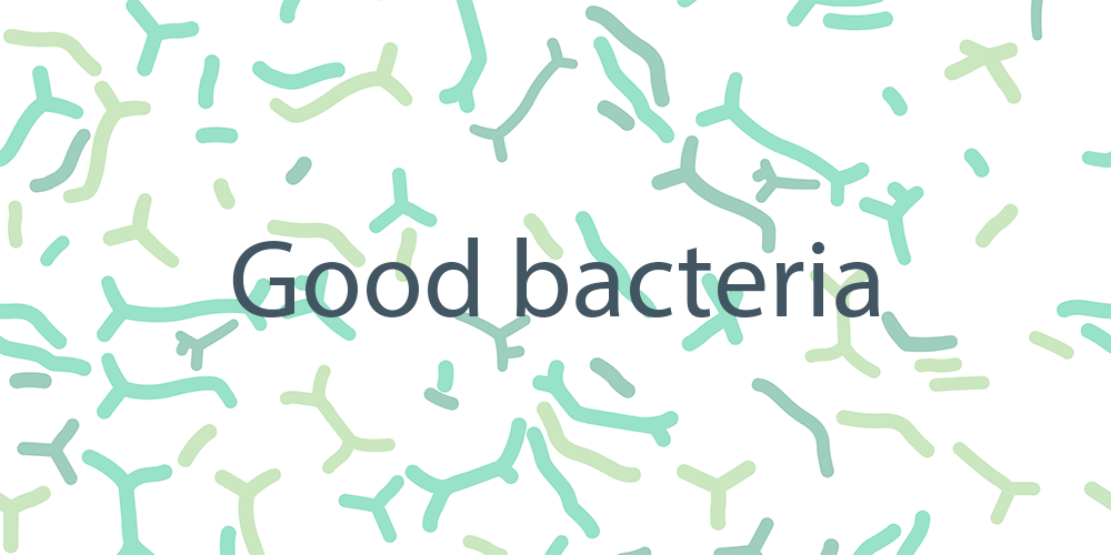 Graphic depicting good bacteria and probiotics, highlighting beneficial microorganisms that support gut and immune health.