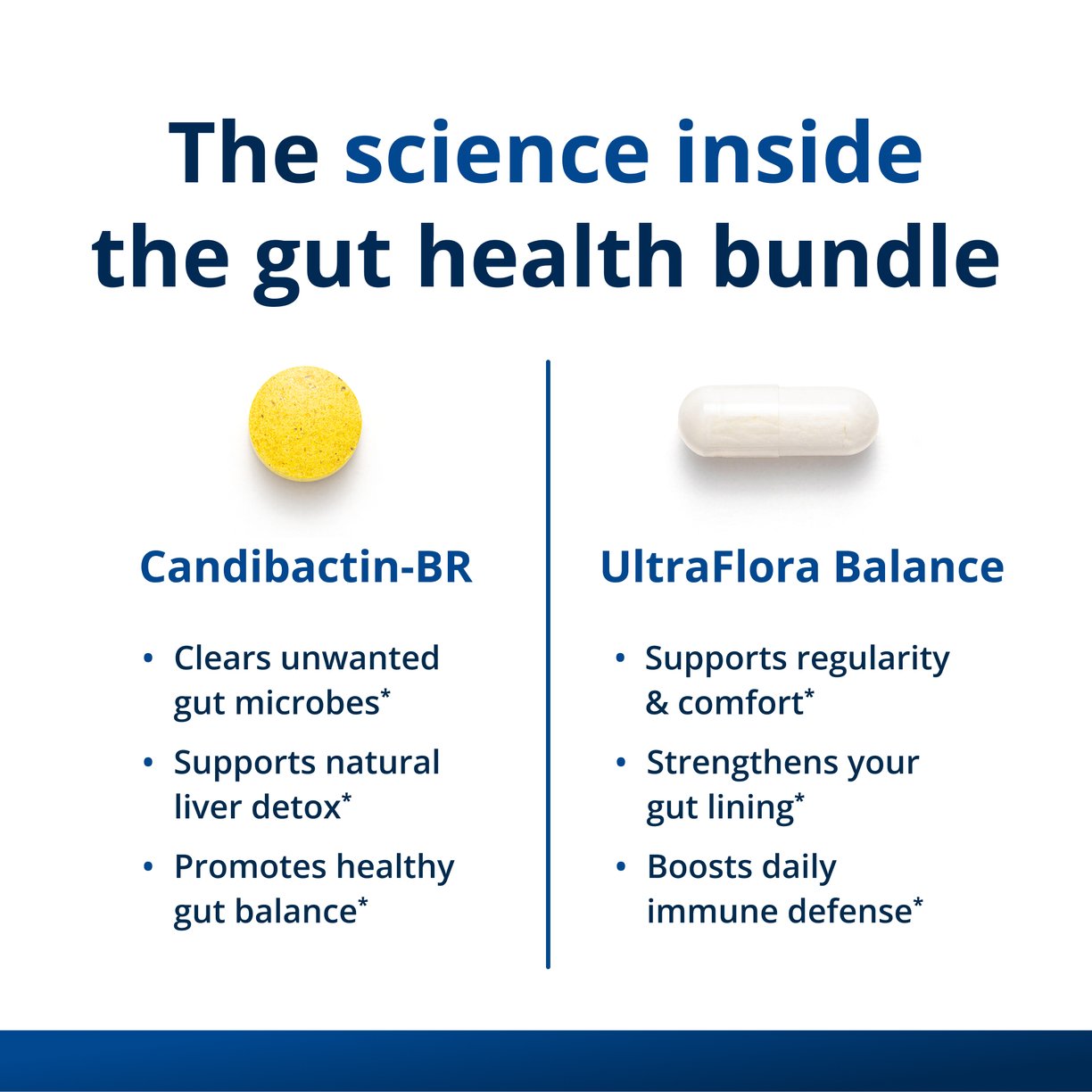 Daily Gut Health Bundle 3