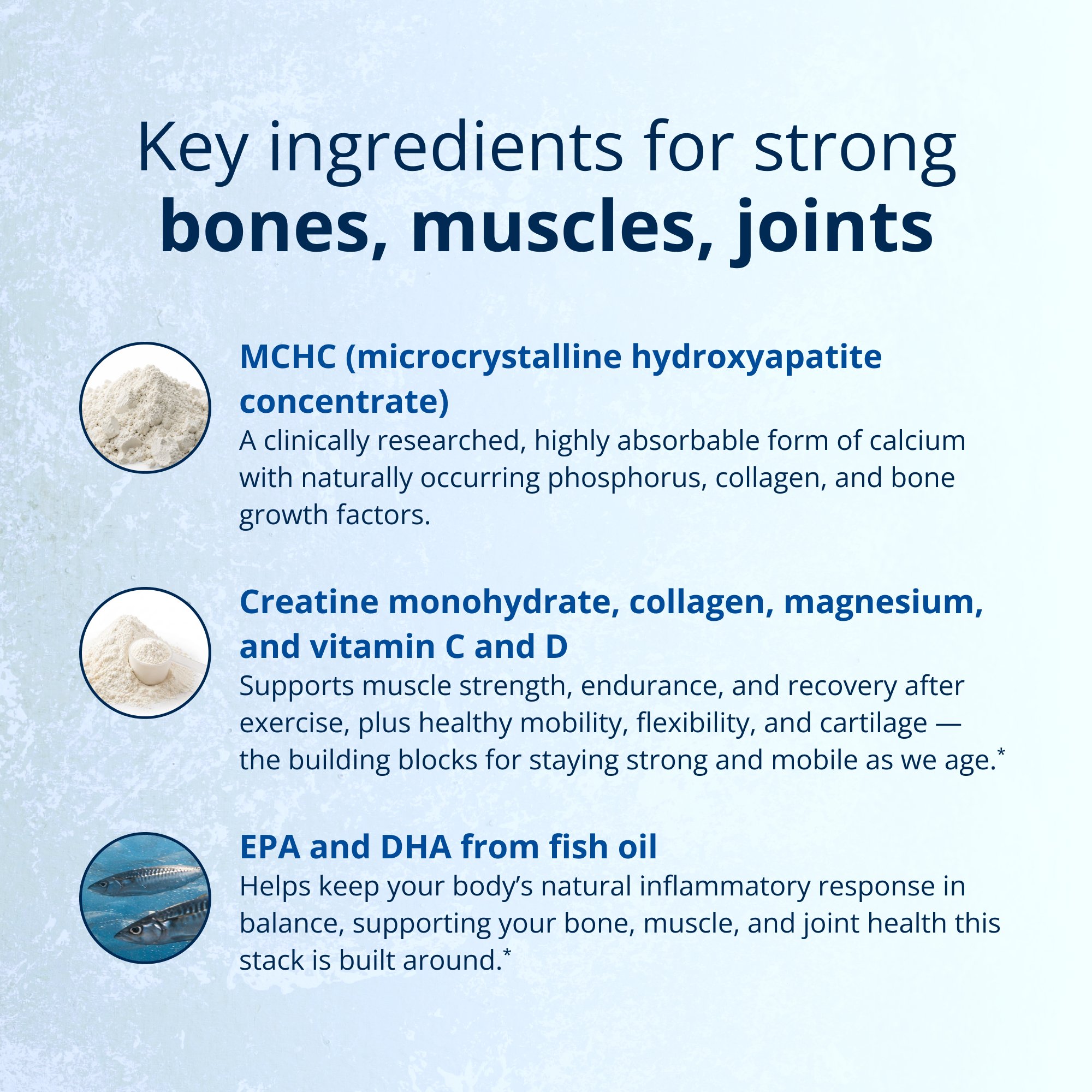 Strength & Mobility for Healthy Aging by Dr. Pranav Vyas 5