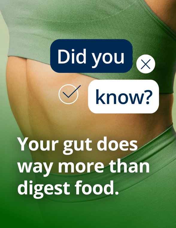 Person’s midsection shown against a green background beside text stating that the gut does more than digest food