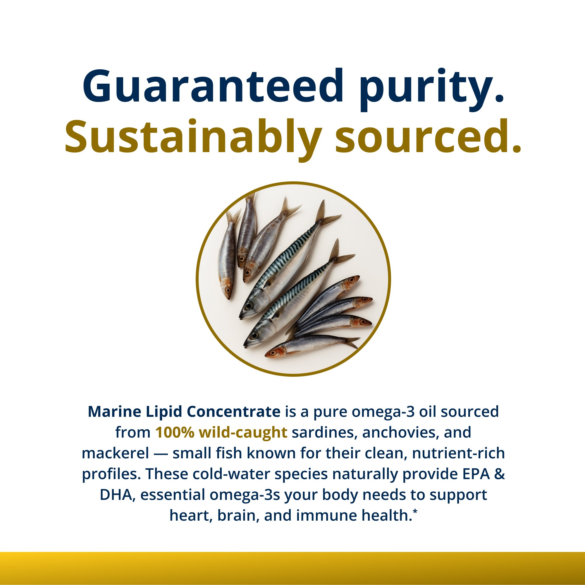 OmegaGenics® Fish Oil EPA-DHA 1000 mg 6