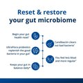 Daily Gut Health Bundle 2